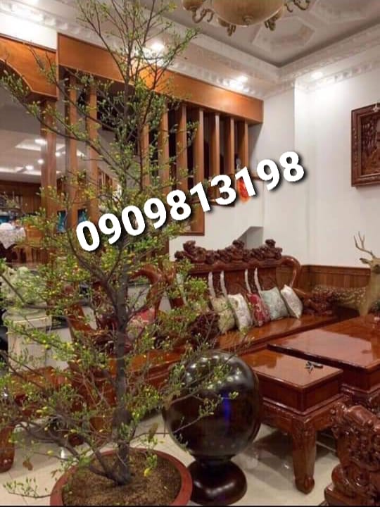 ♥️♥️♥️Bán GẤP SHR sang tên giao ngay NHÀ ĐẸP P2 Q5 Hẻm VIP Thẳng 1/ Gần Mặt Tiền.♥️♥️♥️ - Ảnh chính
